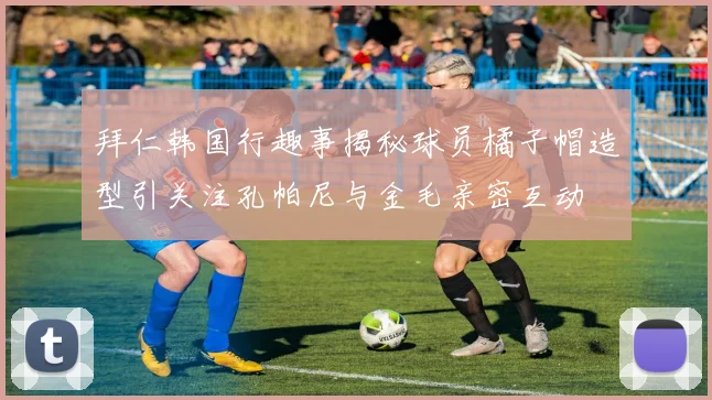 拜仁韩国行趣事揭秘球员橘子帽造型引关注孔帕尼与金毛亲密互动