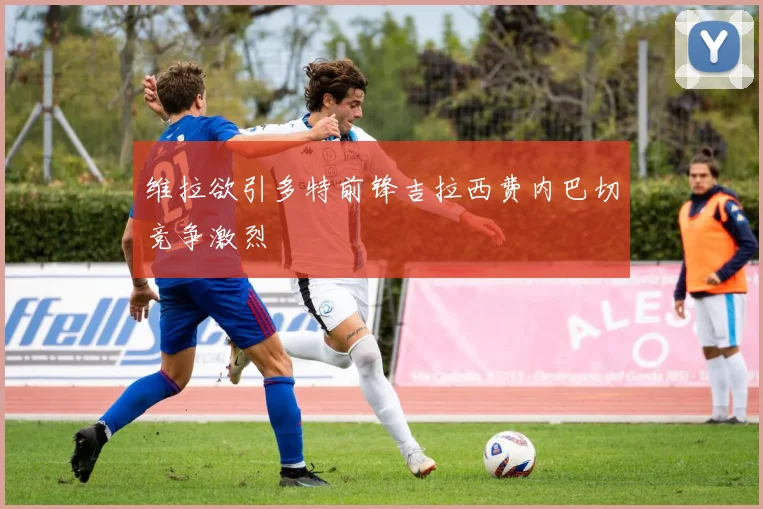 维拉欲引多特前锋吉拉西费内巴切竞争激烈
